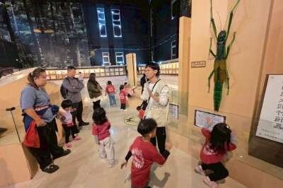 114.11.28-幼兒園校外教學(鹿角樹、幸運草、貝殼杉)